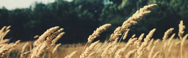 小七短信在线网页轰炸